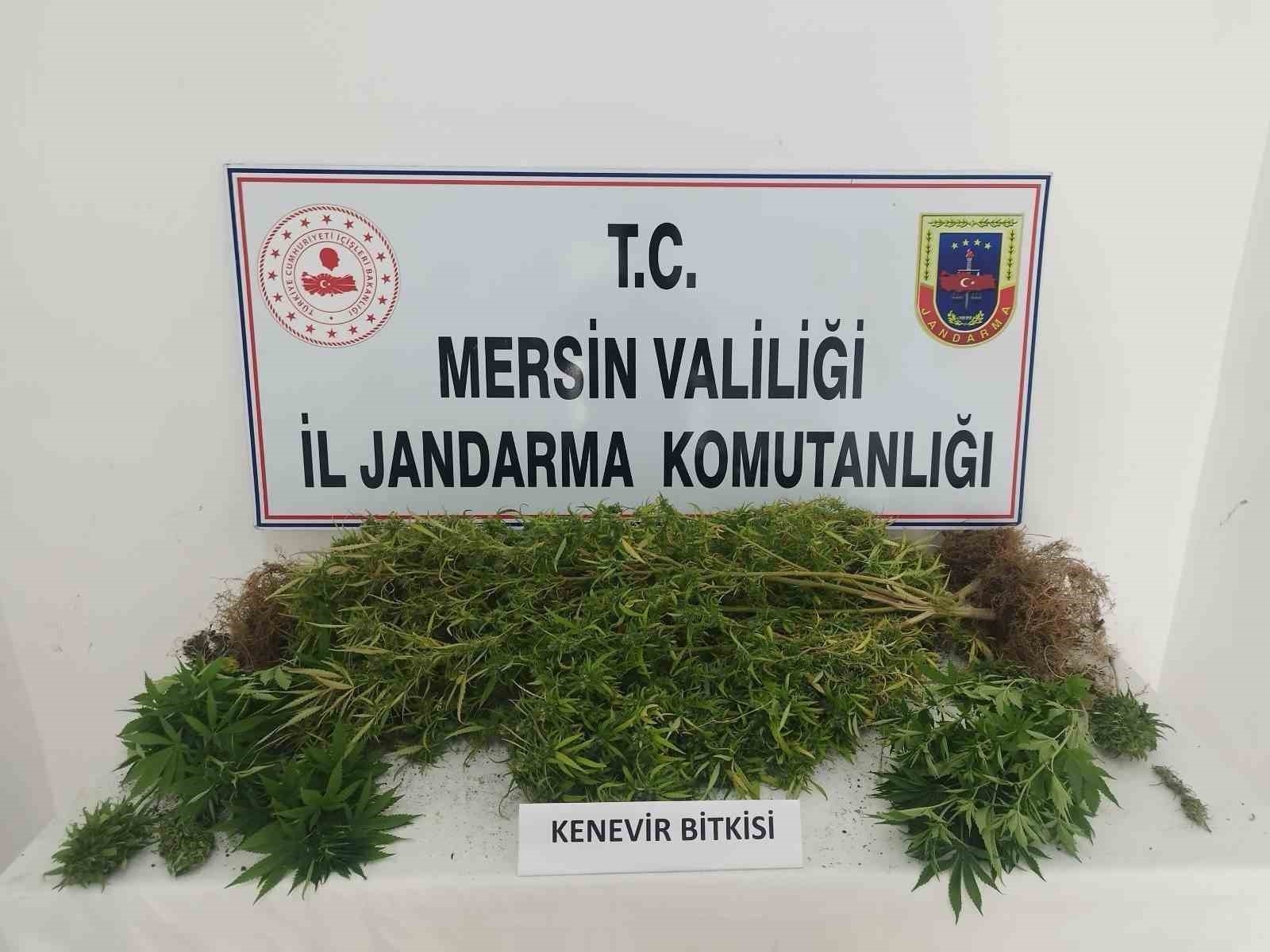 Mersin’de uyuşturucu tacirlerine operasyon: 4 gözaltı
