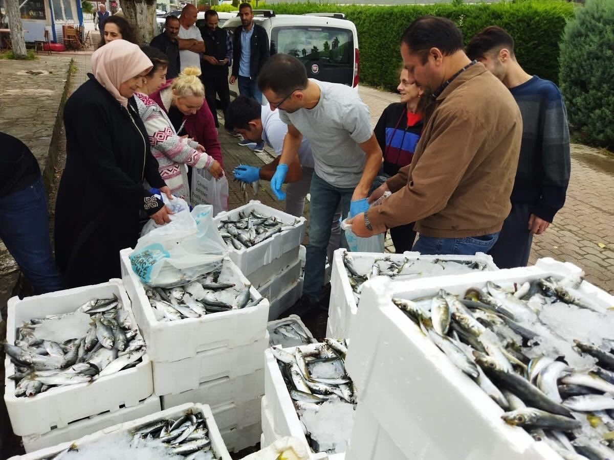 Sinop’ta yasa dışı avlanan 70 kasa balığa el konuldu
