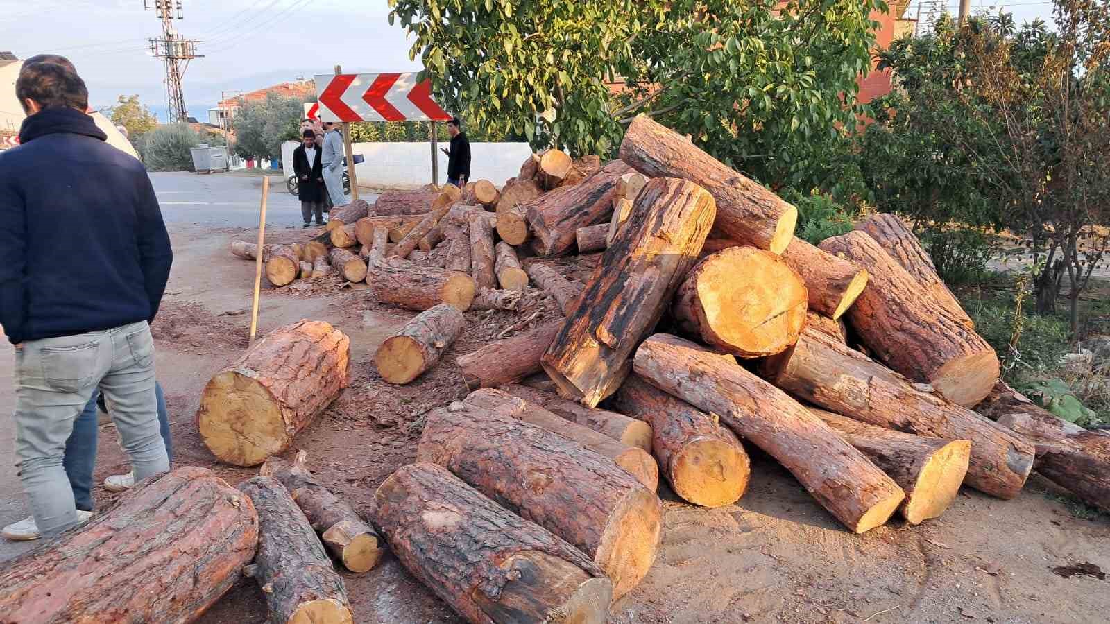 Tonlarca kütük yola devrildi, öğretmen bir adımla ölümden kurtuldu
