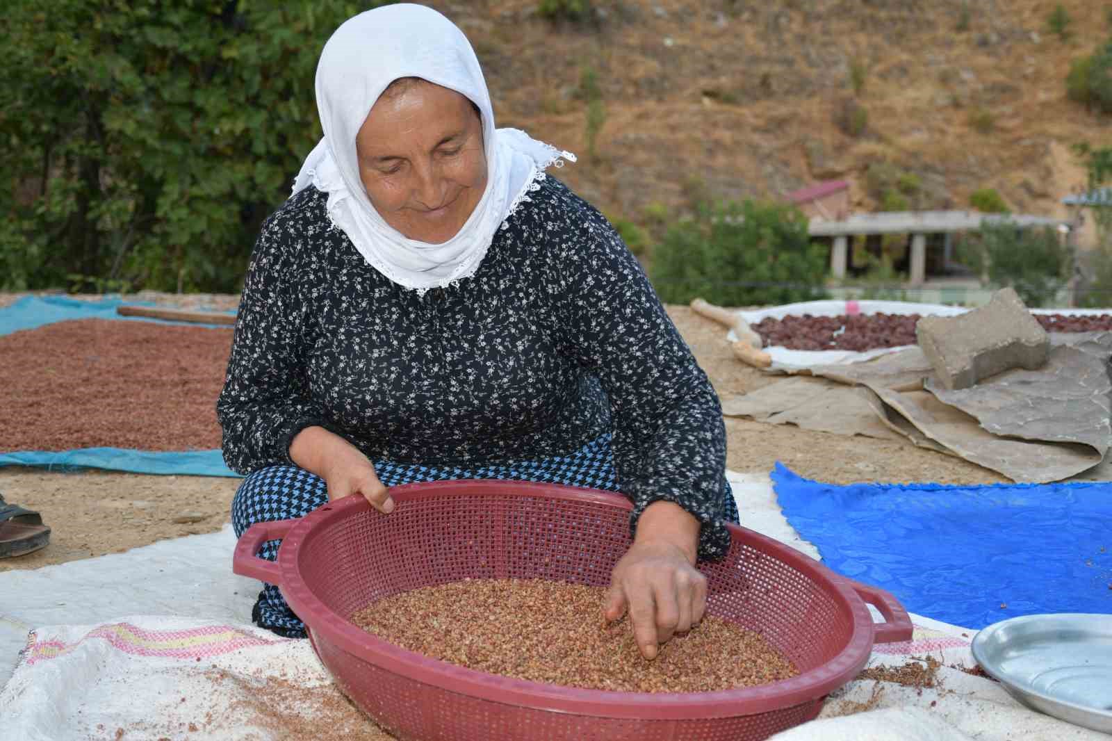 Şırnaklı aile sumak satarak geçimini sağlıyor
