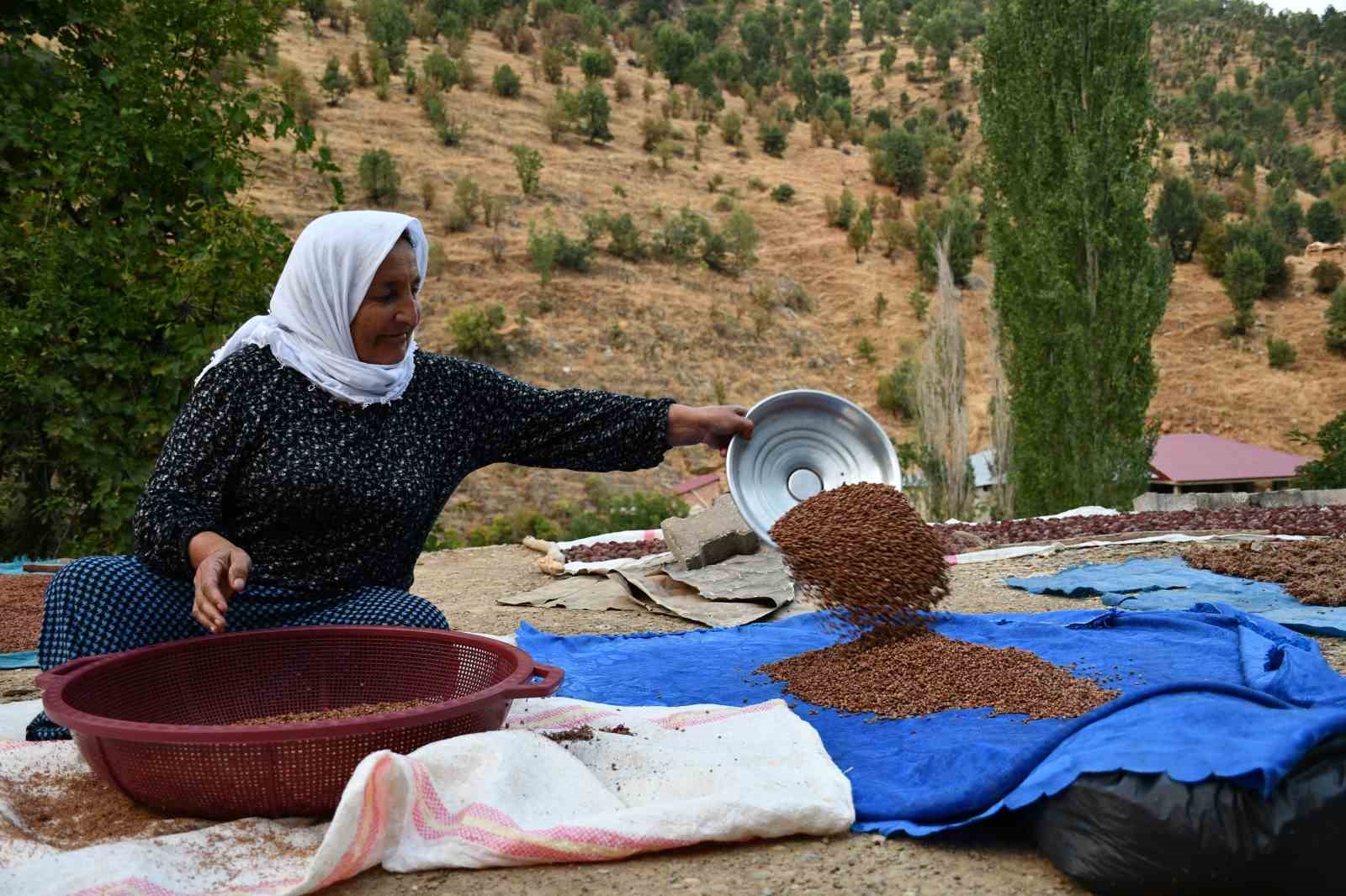 Şırnaklı aile sumak satarak geçimini sağlıyor
