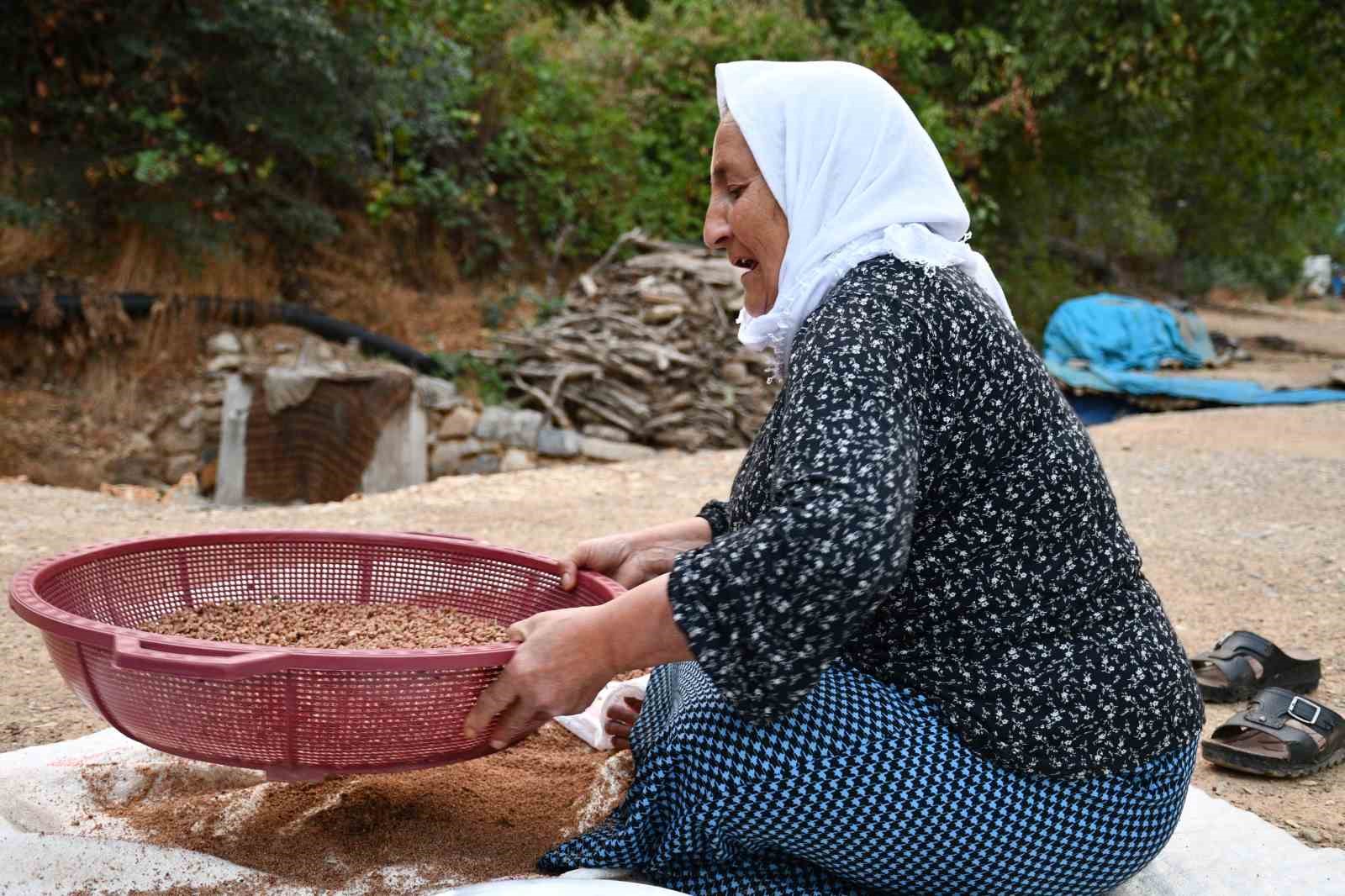 Şırnaklı aile sumak satarak geçimini sağlıyor
