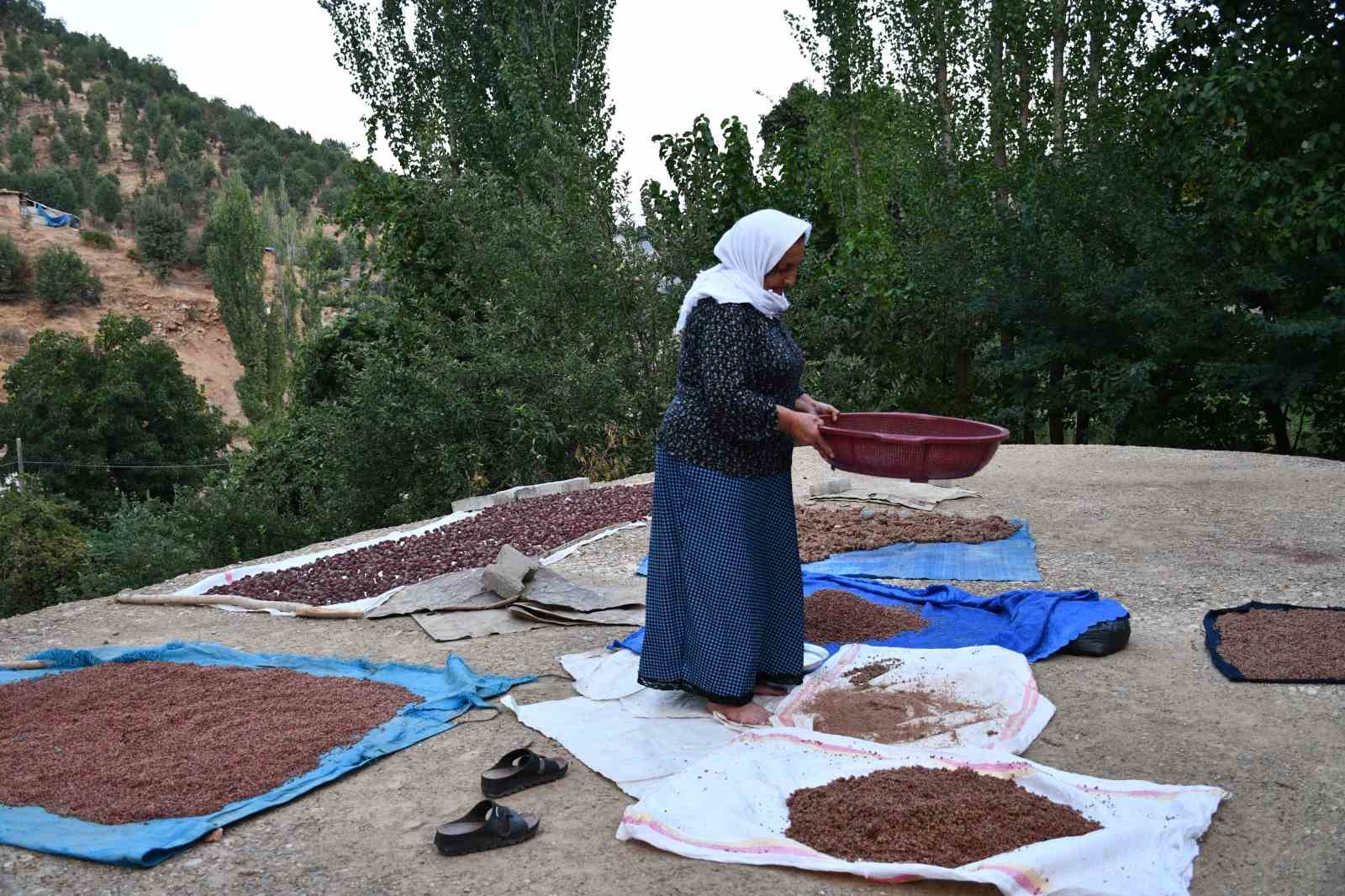 Şırnaklı aile sumak satarak geçimini sağlıyor
