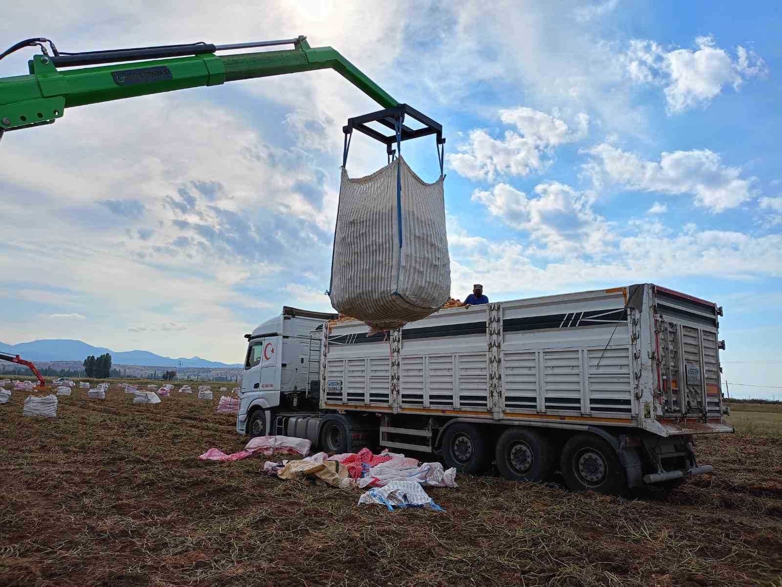 Beyşehir’de cipslik patates üretim alanlarında hasat başladı
