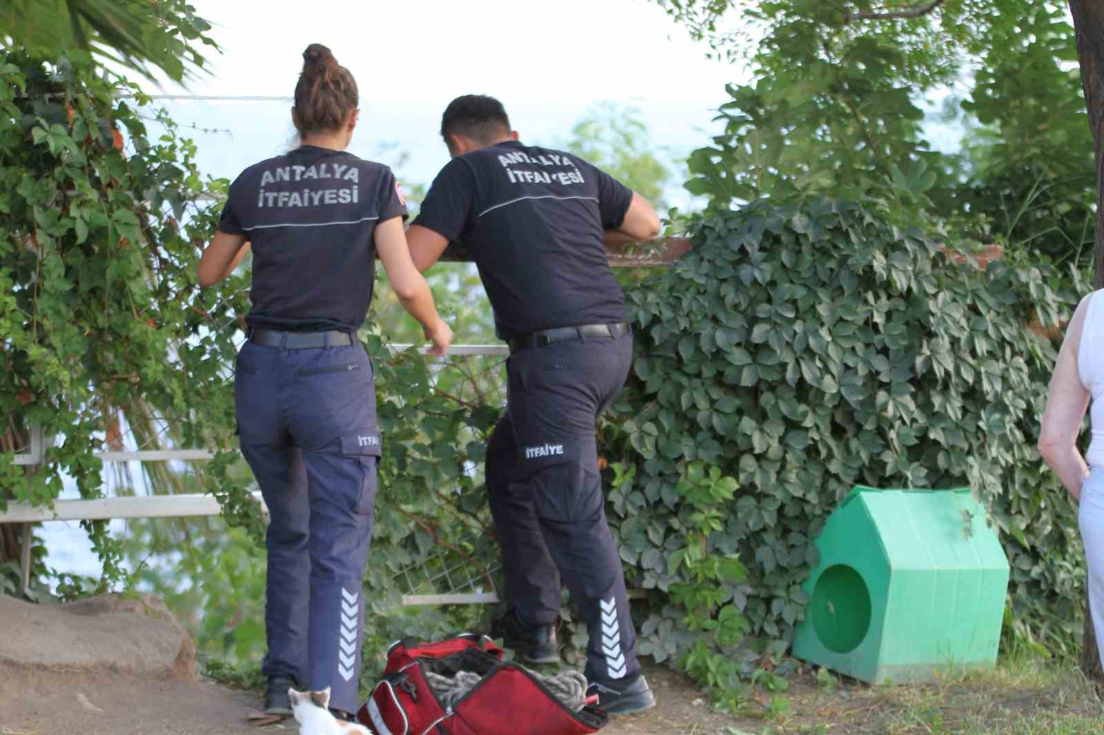 Antalya’da paraşüt ağaçta asılı kaldı, ekipler alarma geçti
