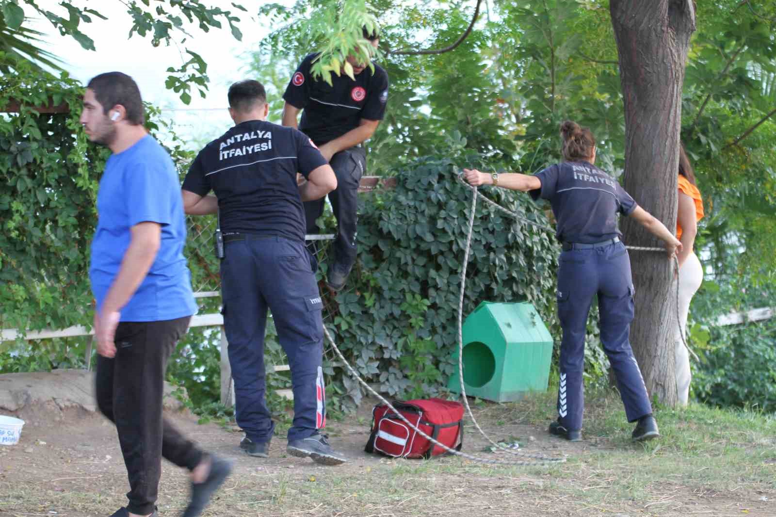 Antalya’da paraşüt ağaçta asılı kaldı, ekipler alarma geçti
