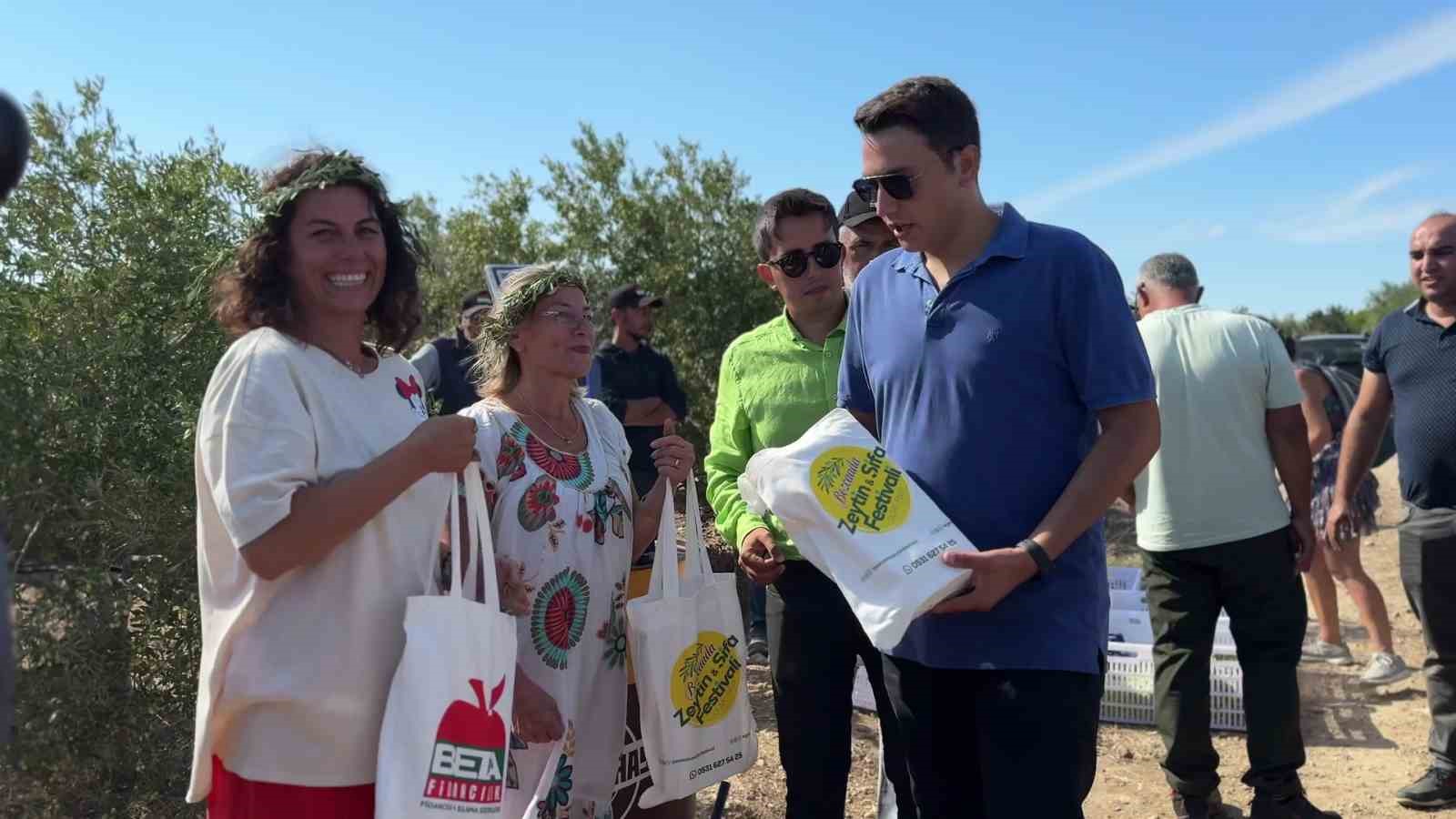 Bozcaada’da zeytin hasat yarışması renkli görüntülere sahne oldu
