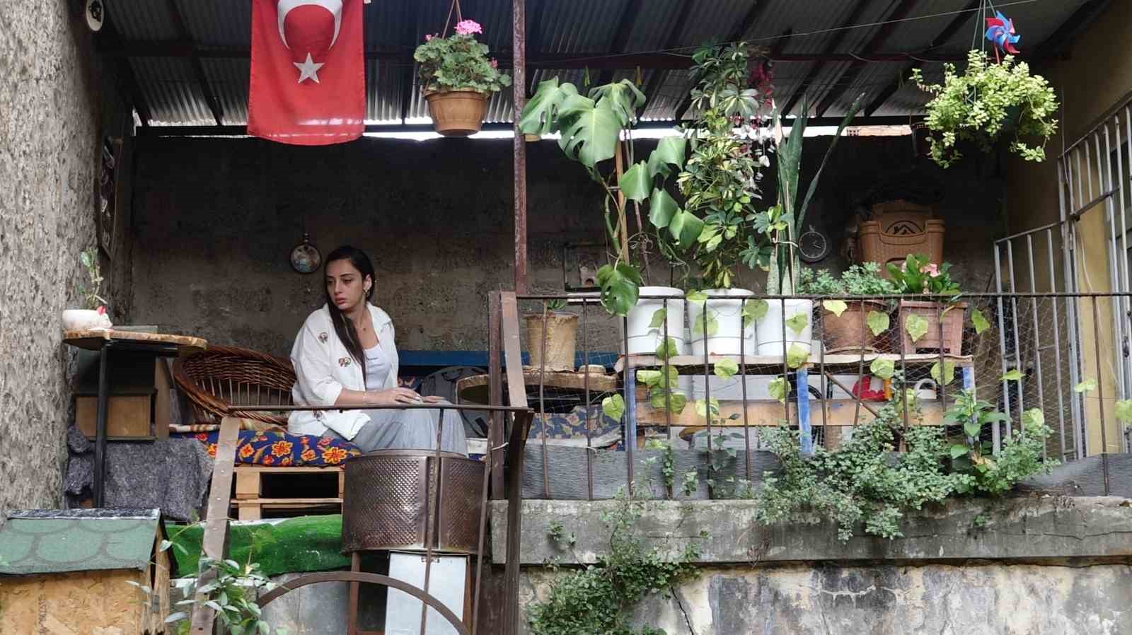 Şehir merkezindeki evinin bahçesine sansar dadandı, 11 kediyi telef etti
