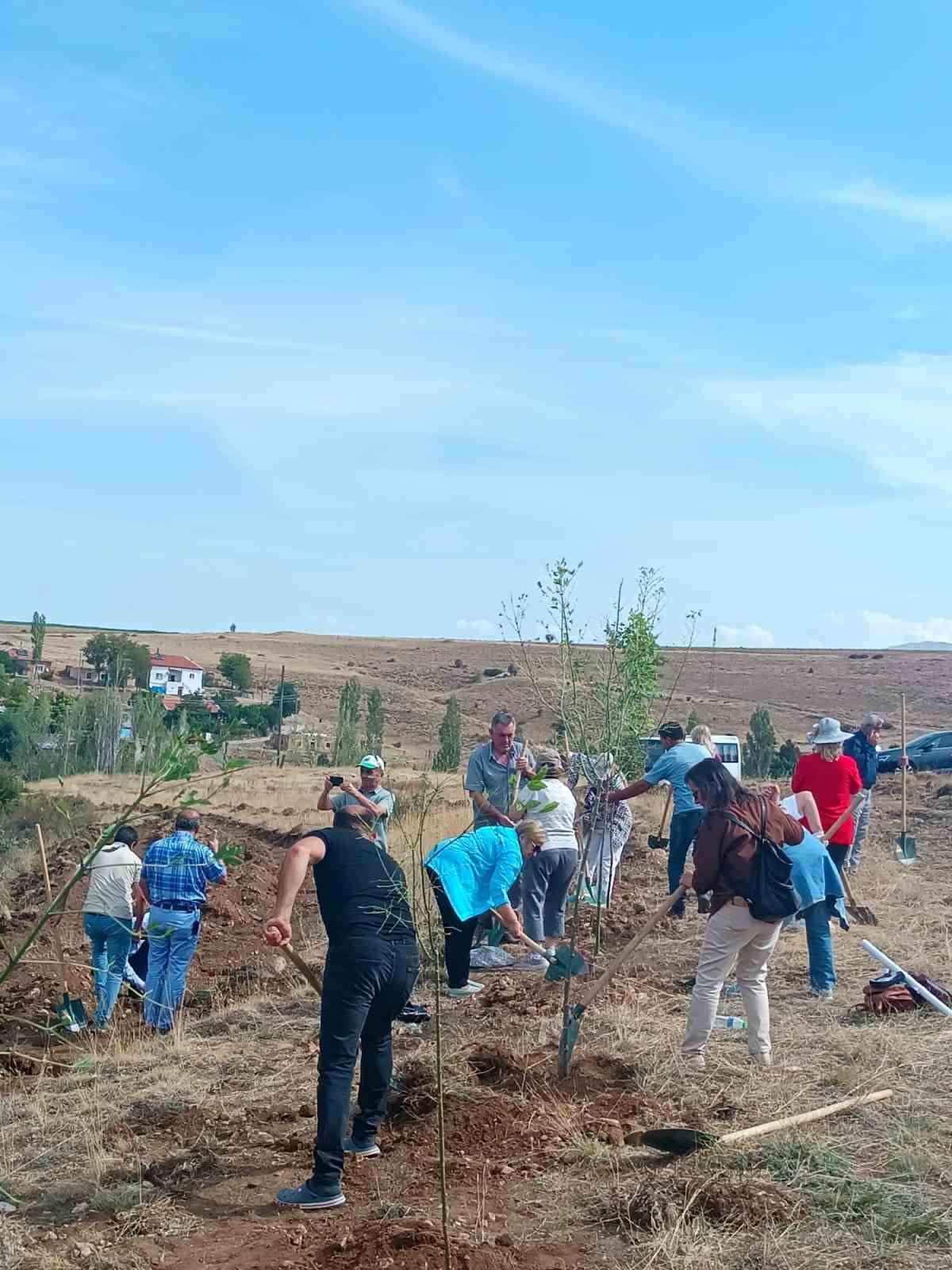 Büyükşehir, 2024 sonbaharında 230 bin fidanı toprakla buluşturacak
