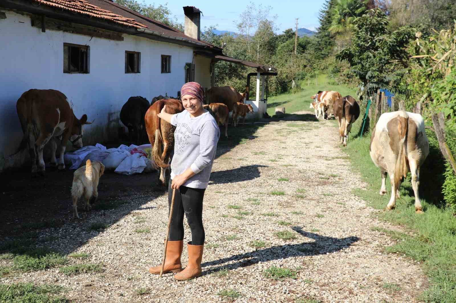 Üreten kadın: Tek başına 20 büyükbaş hayvana bakıyor
