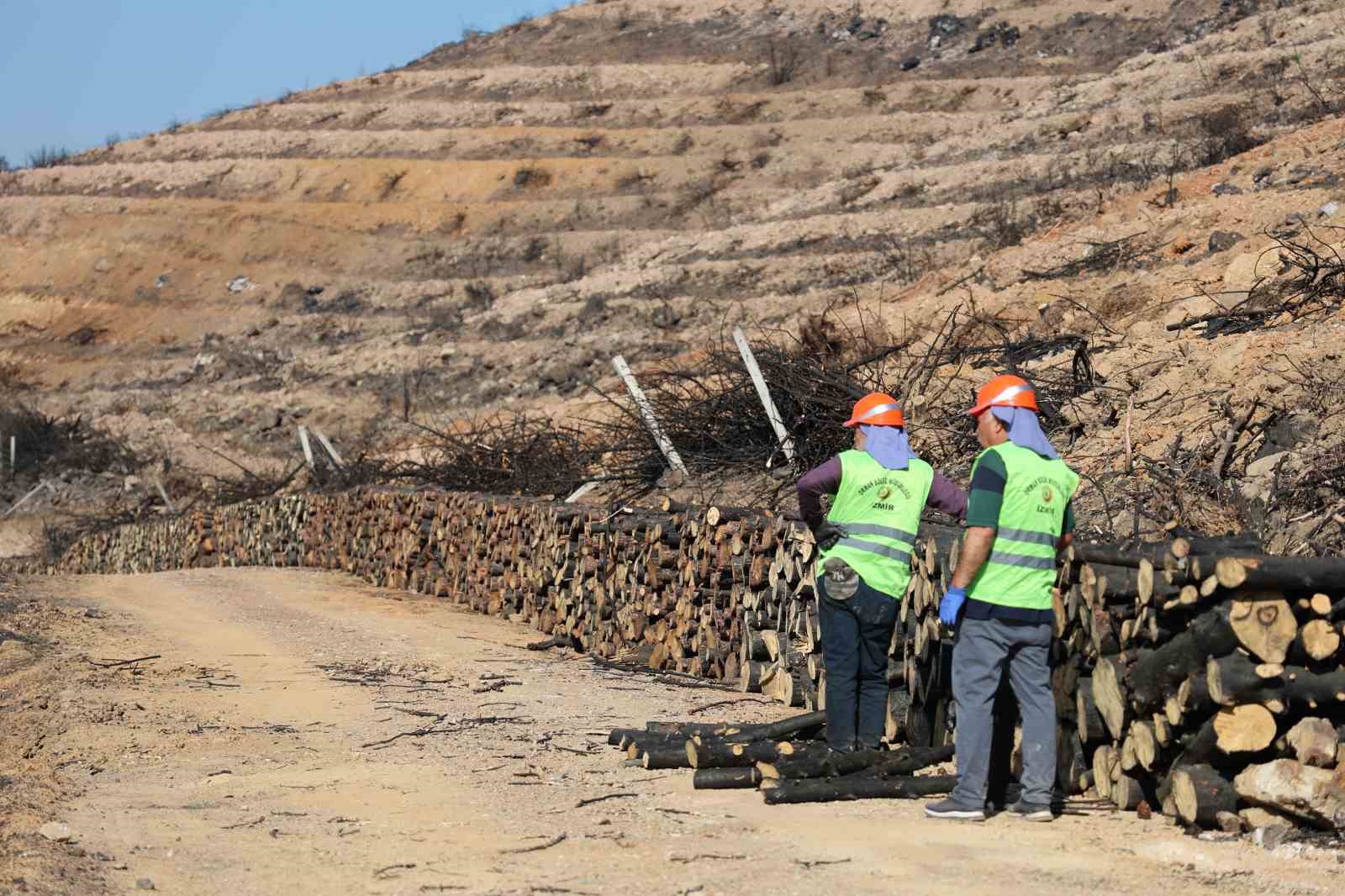 İzmir’de yanan ormanlık alana 1 milyon 100 bin fidan dikilecek
