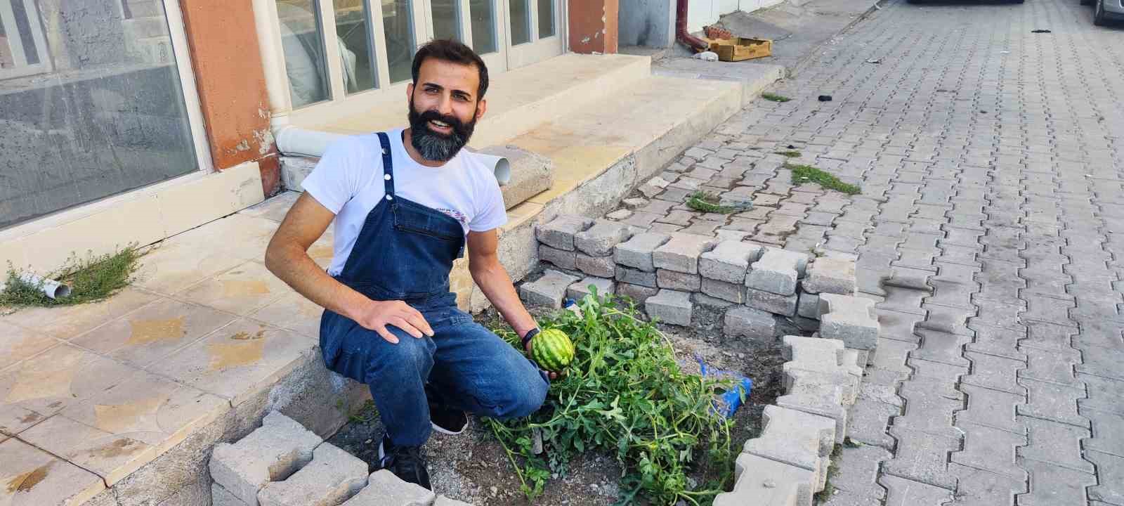 Öyle bir yerde yetişti ki, görenleri hayrete düşürdü
