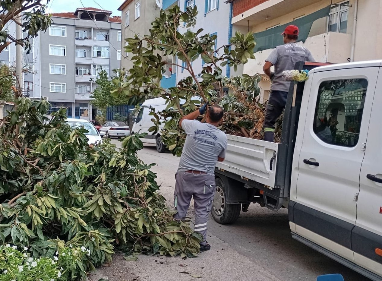 Körfez’de yeşil alanlara bakım
