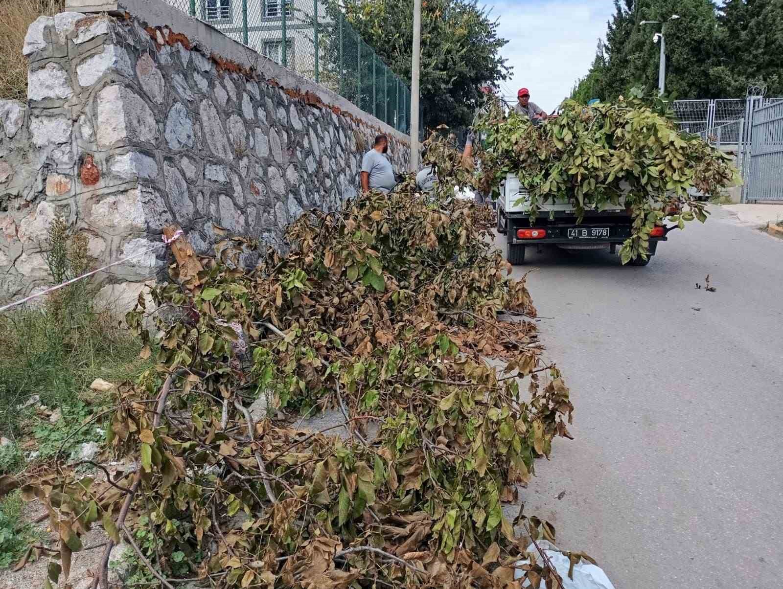 Körfez’de yeşil alanlara bakım
