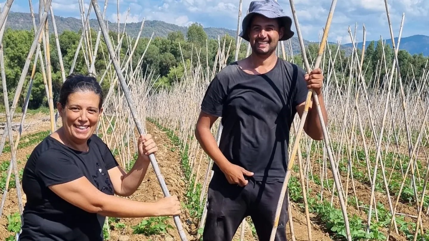 Fethiye’de baklagil üretimi destekleniyor
