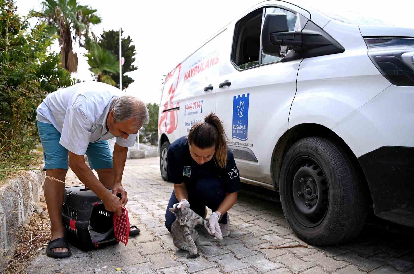 Kuşadası’nda Haybulans 16 bin 614 can dostun yardımına koştu
