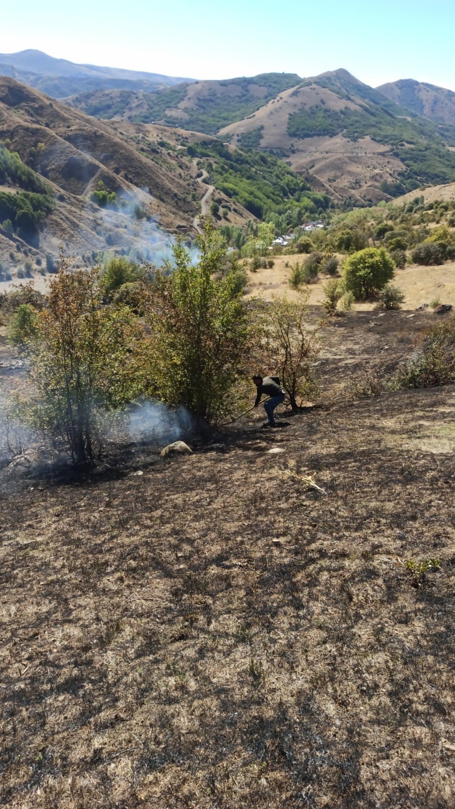 Tunceli’deki yangın ormanlık alana sıçramadan söndürüldü
