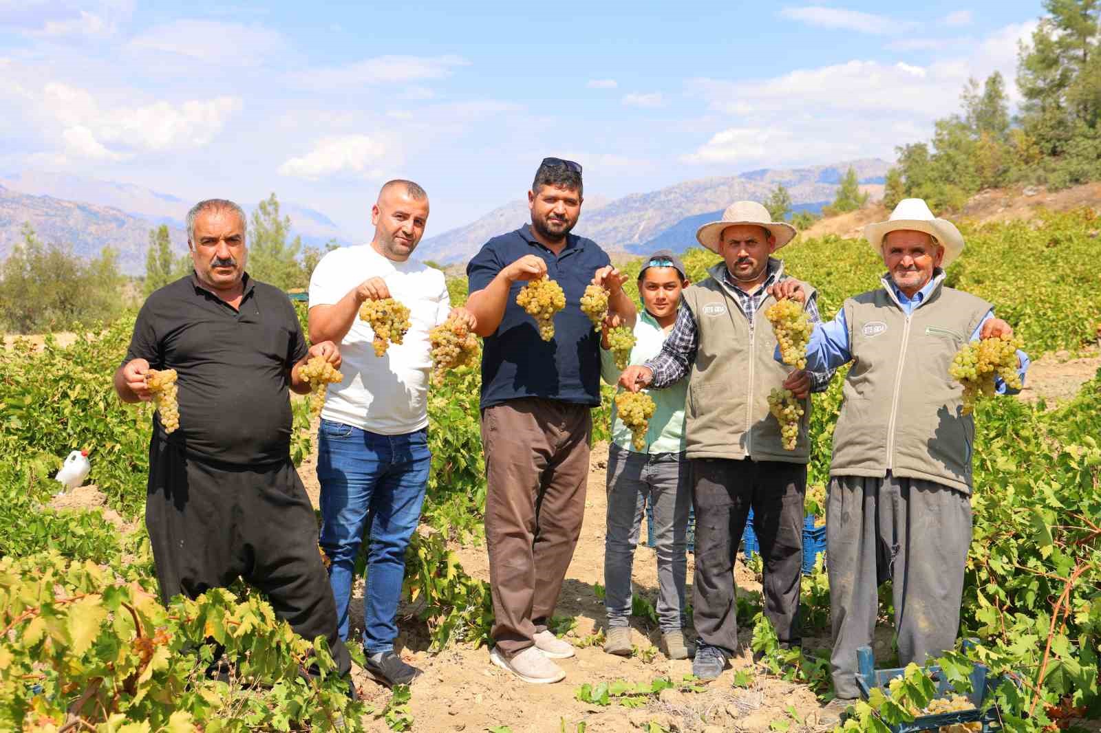 Kahramanmaraş’ta şıra telaşı başladı
