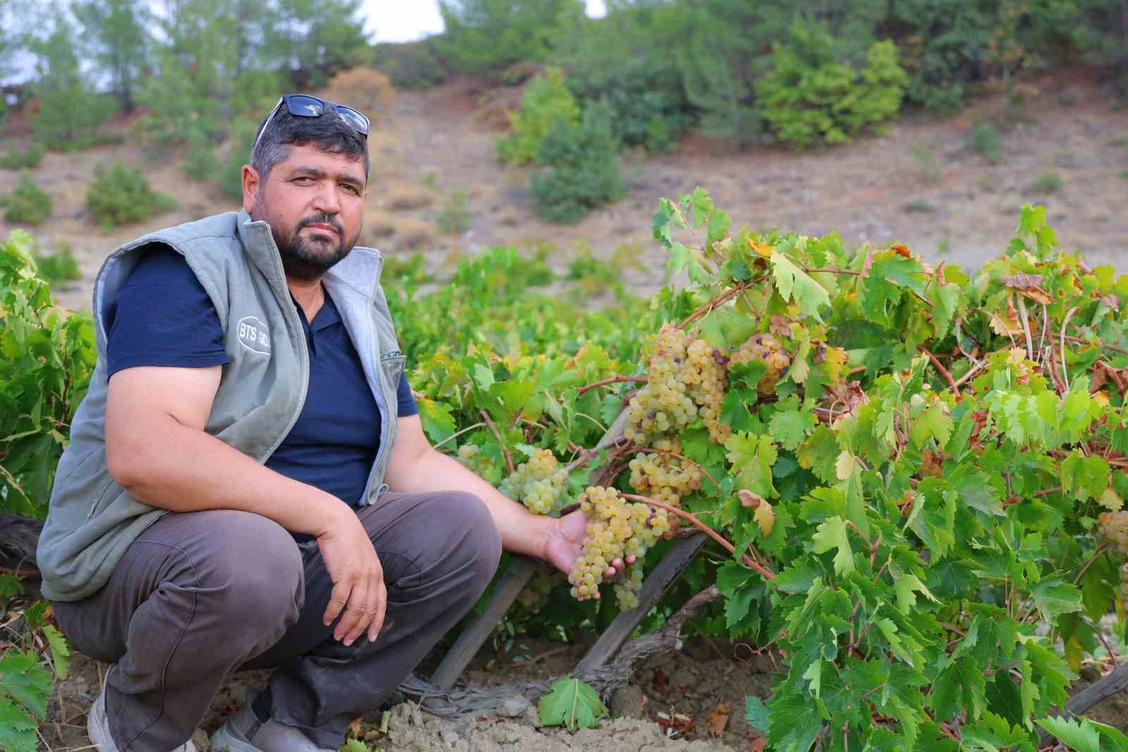 Kahramanmaraş’ta şıra telaşı başladı
