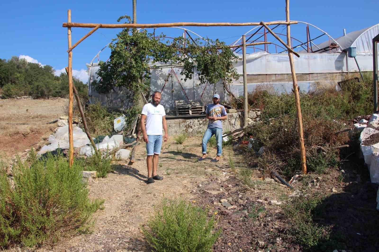 Komşusuna kızdı seraya giden yolu kapattı
