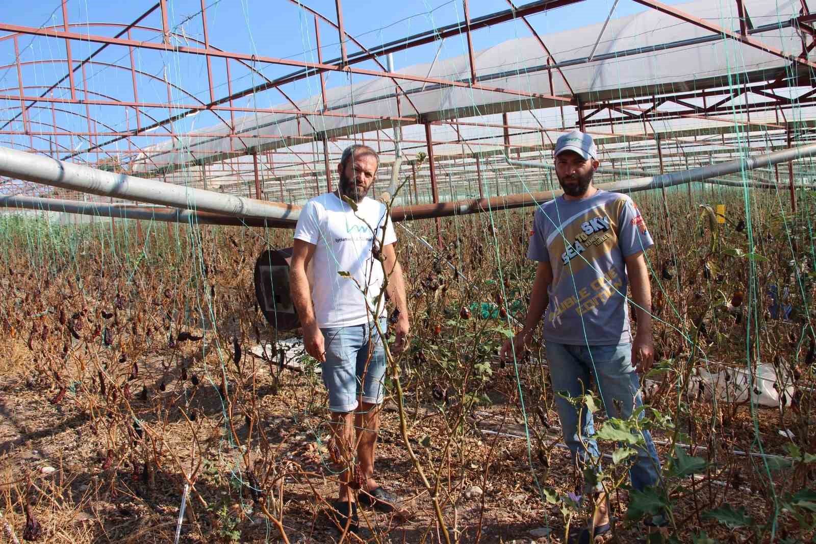 Komşusuna kızdı seraya giden yolu kapattı
