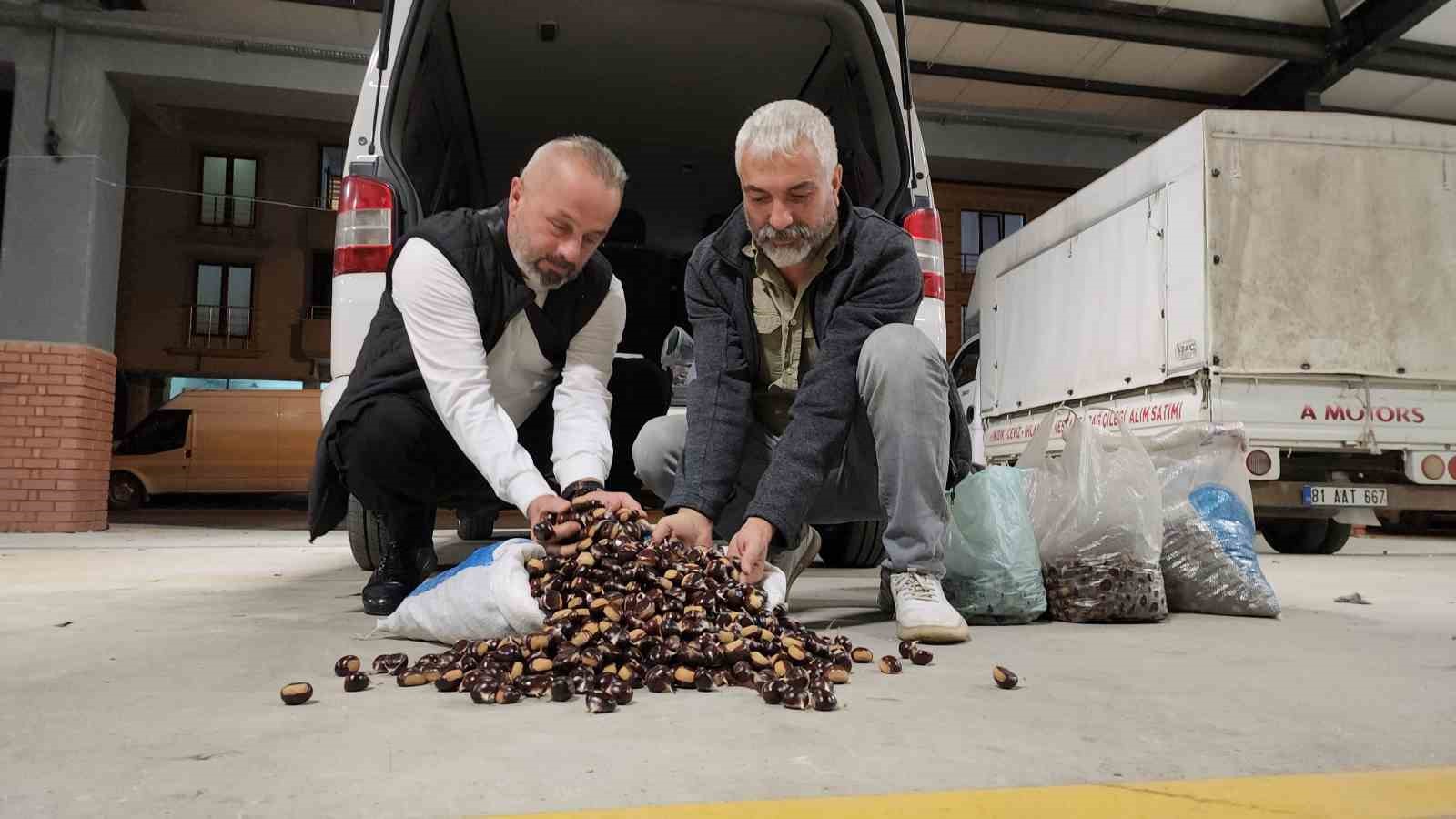 Kuzu kestane pazara indi
