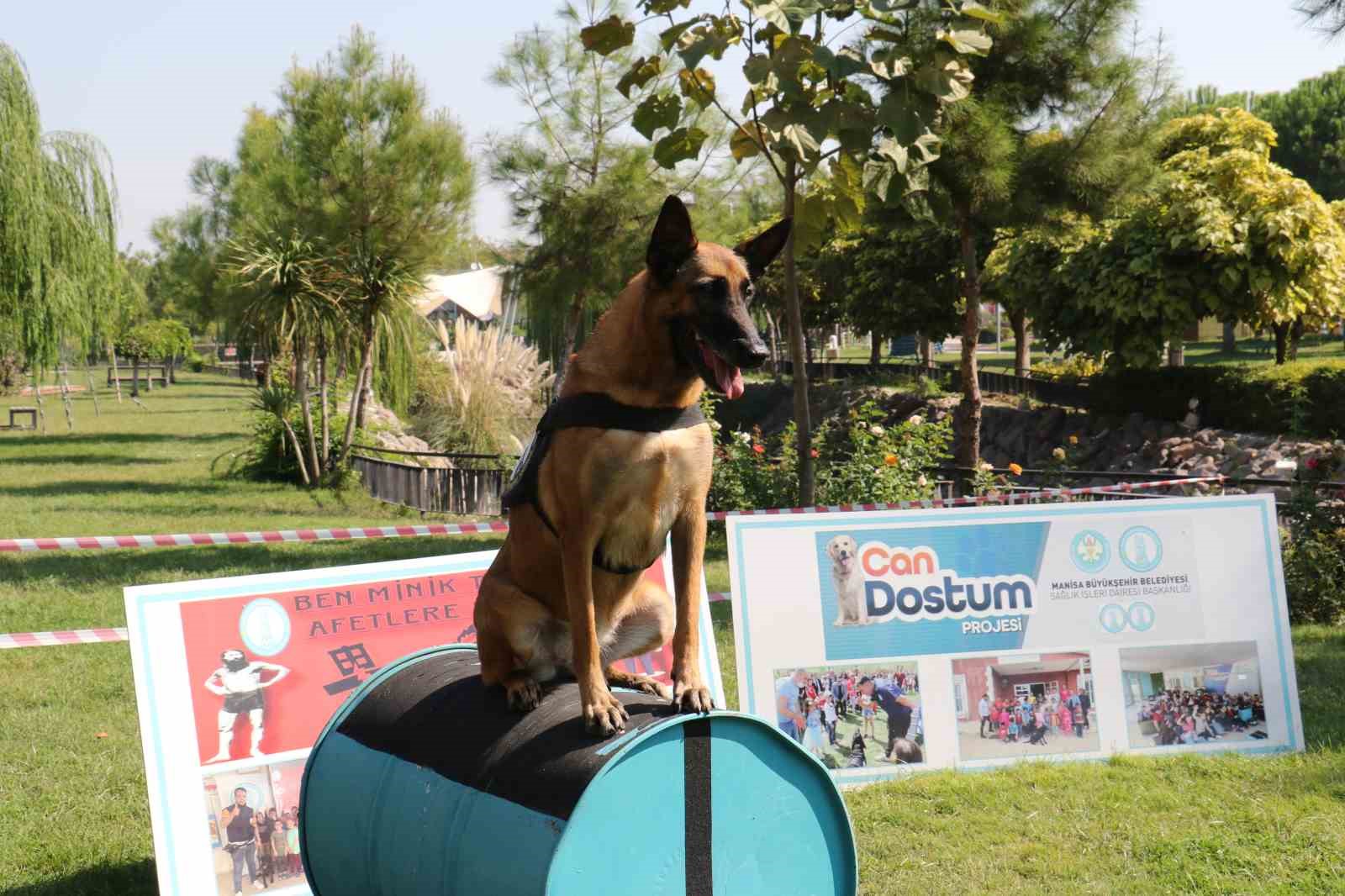 Minik öğrenciler eğitimli köpeklerin gösterisine hayran kaldı
