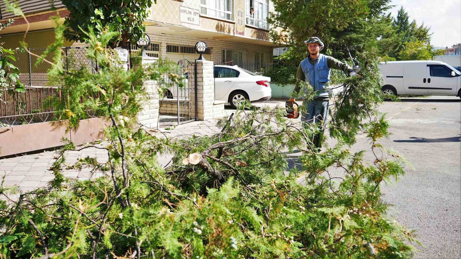 Keçiören’de mevsimlik budama çalışmaları gerçekleştiriliyor
