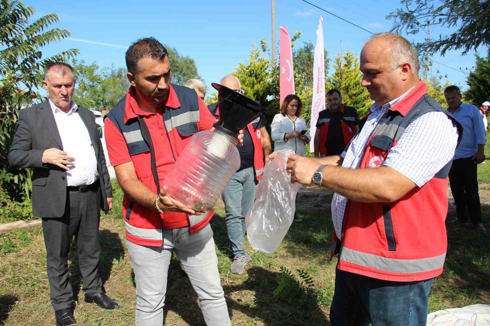 Kahverengi kokarca ile mücadele: Fındık bahçeleri kışlak öncesi ilaçlandı
