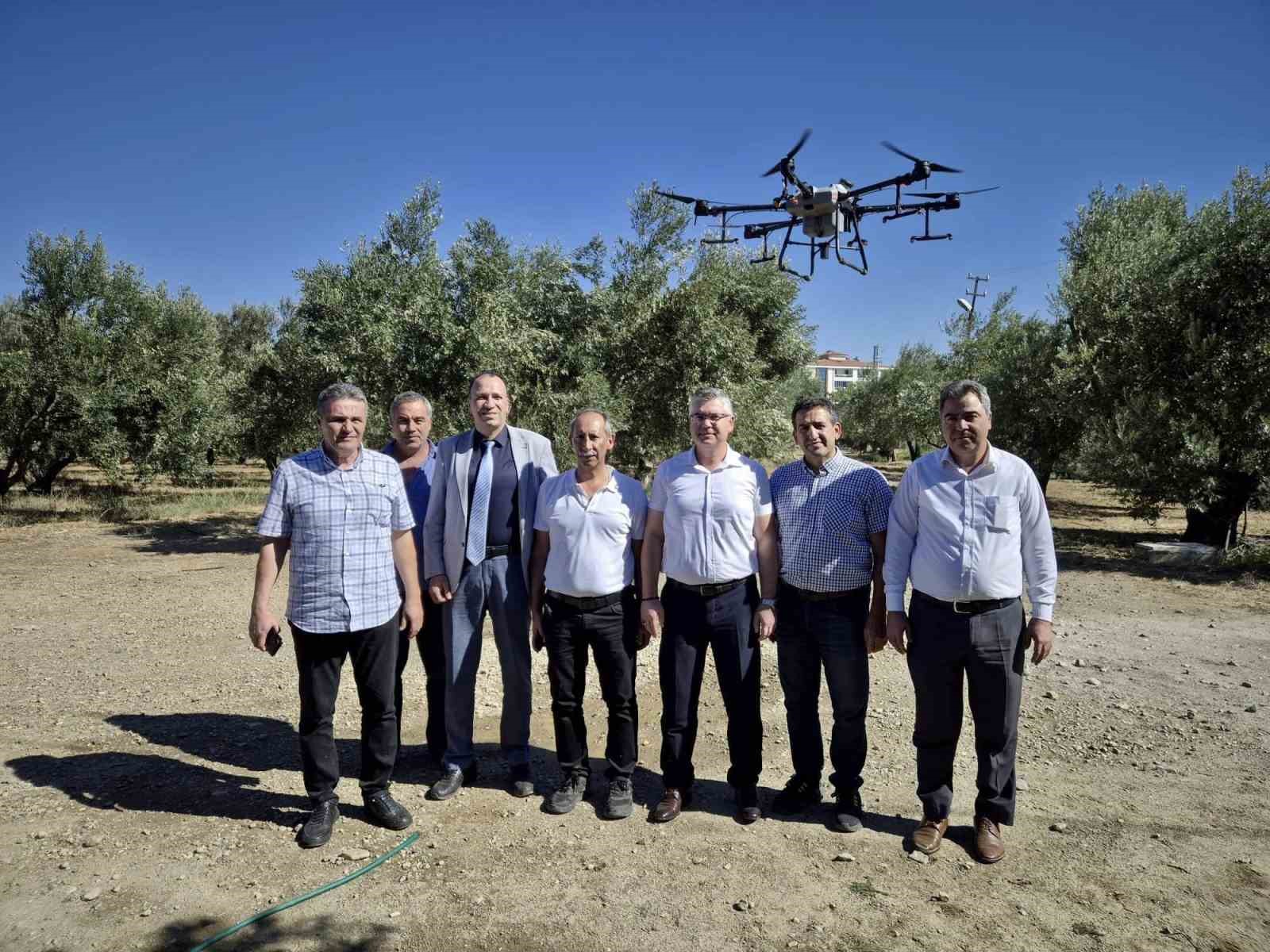 Balıkesir’de zeytin sineğiyle mücadelede sürüyor
