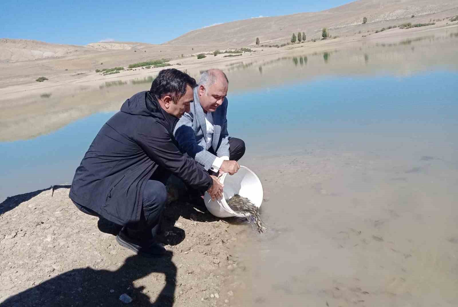 Çayırlı’da gölete yavru balık bırakıldı
