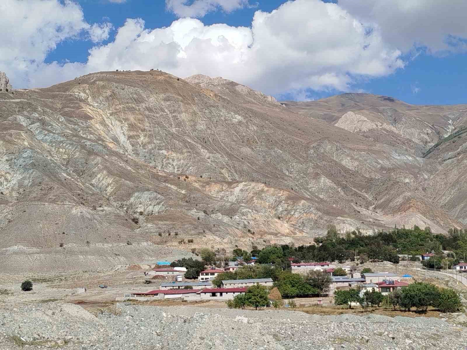 Başpınar köyüne 100 bin tuz çalısı dikilecek
