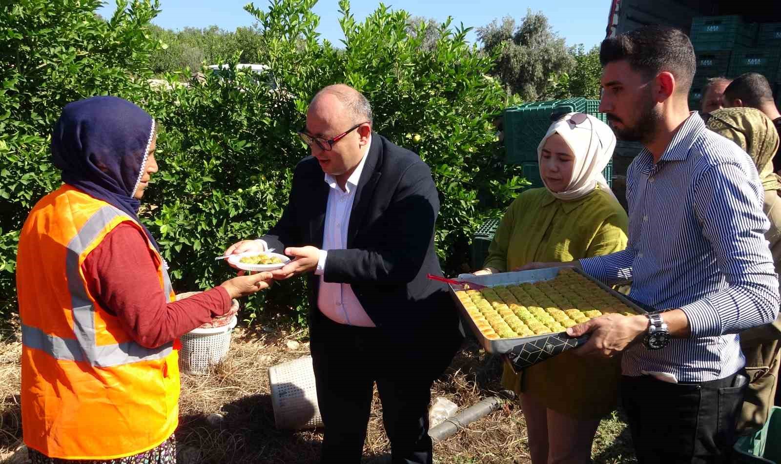 Yılda 1 milyon tondan fazla üretiliyor: Limonun başkentinde hasat başladı
