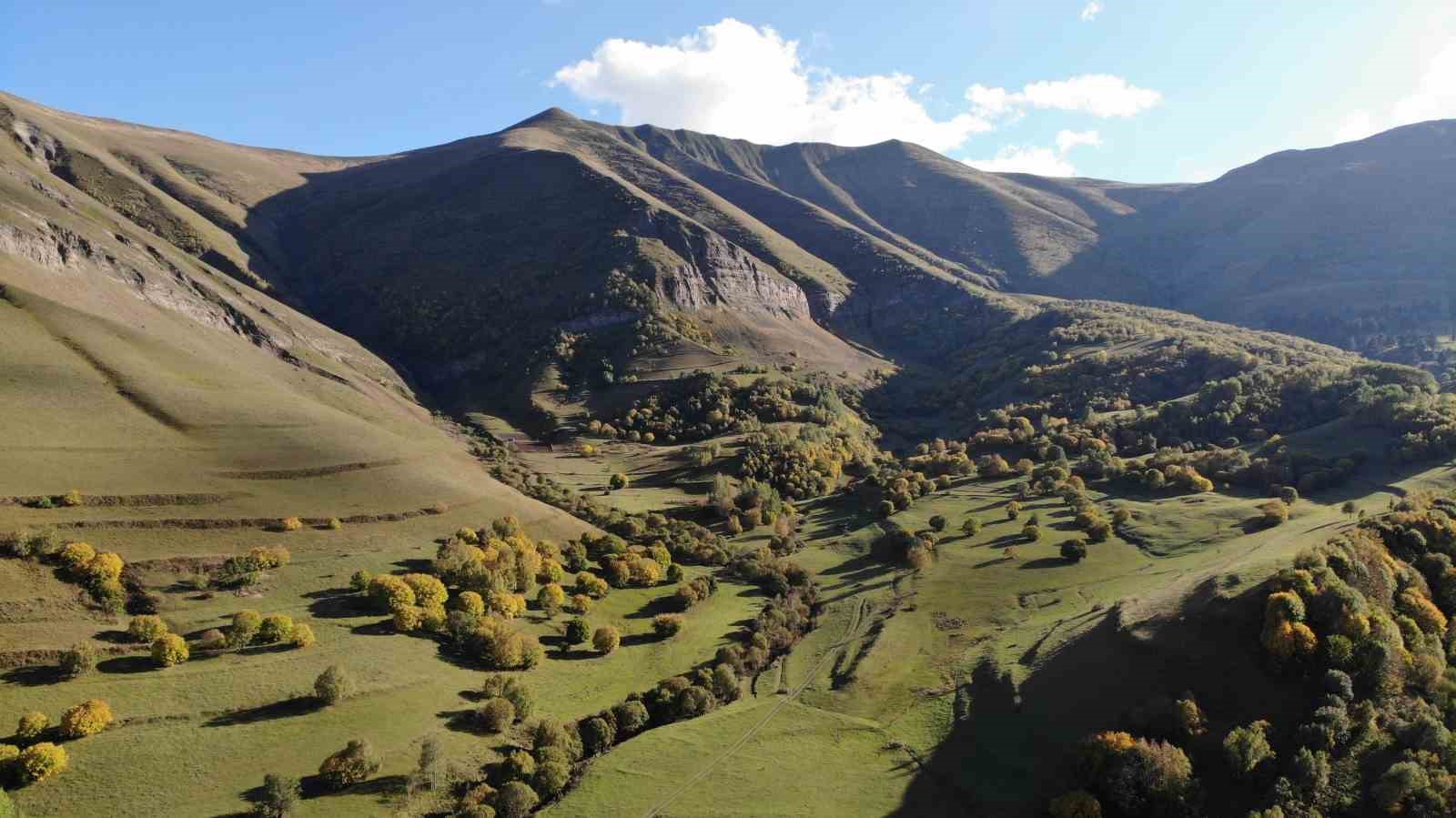 Artvin’de sonbahar ilk bu köye uğruyor
