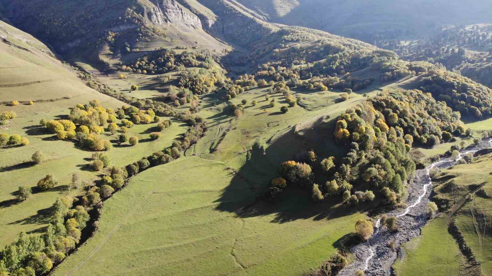 Artvin’de sonbahar ilk bu köye uğruyor
