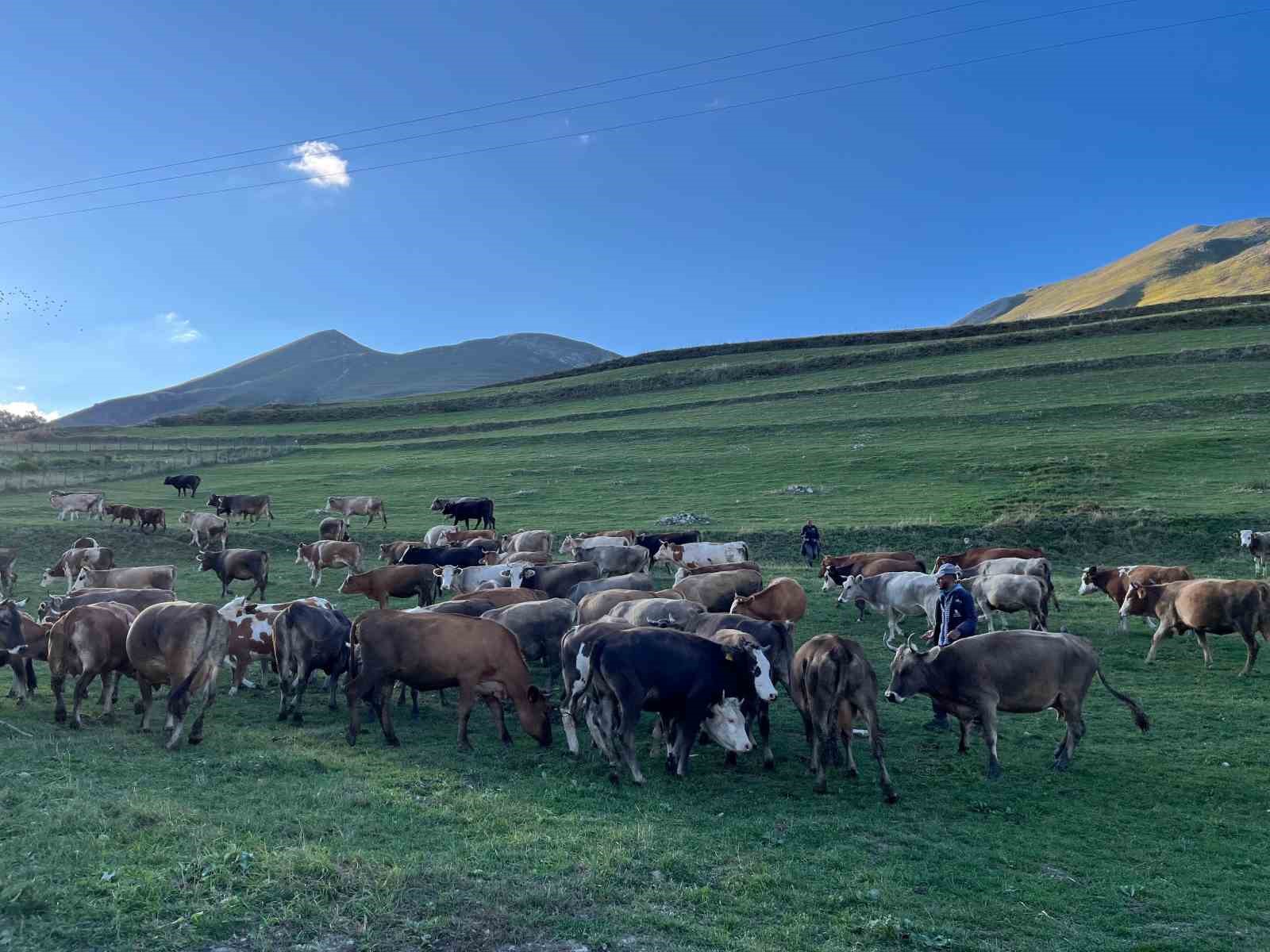 Artvin’de sonbahar ilk bu köye uğruyor
