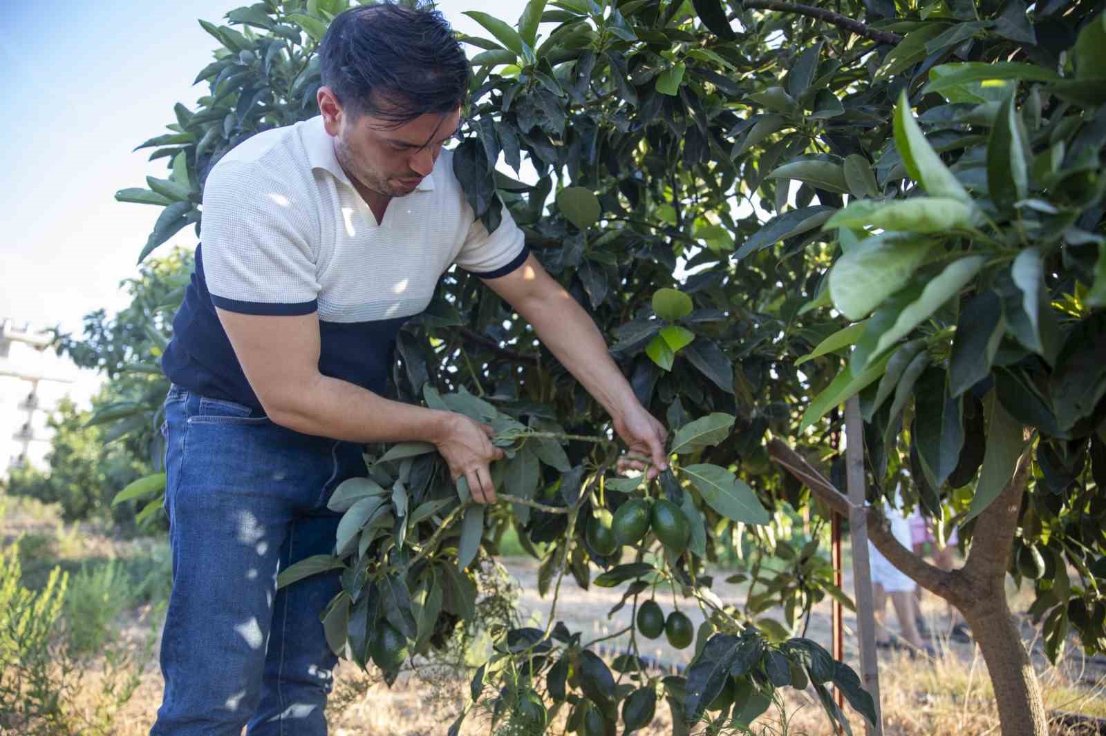 Mersin’de üretici, fide-fidan desteği ile büyüyor
