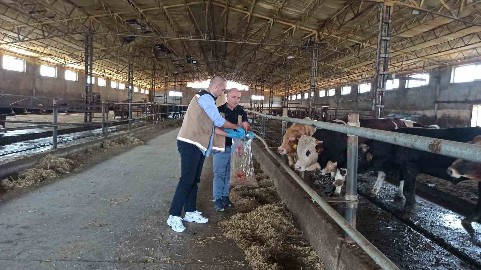 Bayburt’ta yemlerden incelenmek üzere numuneler alındı
