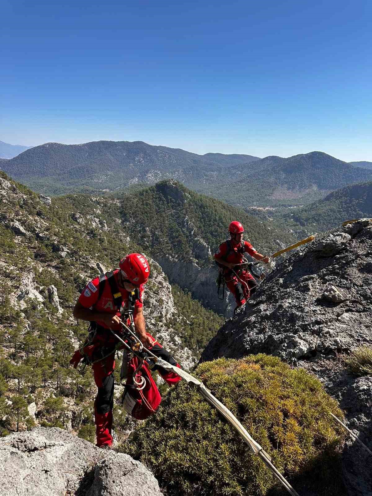 Kayalıklarda mahsur kalan kediyi AKUT ekipleri kurtardı
