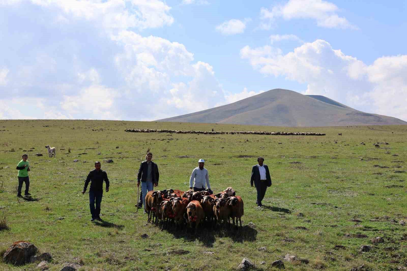 Kars’ta koç katımı yapıldı
