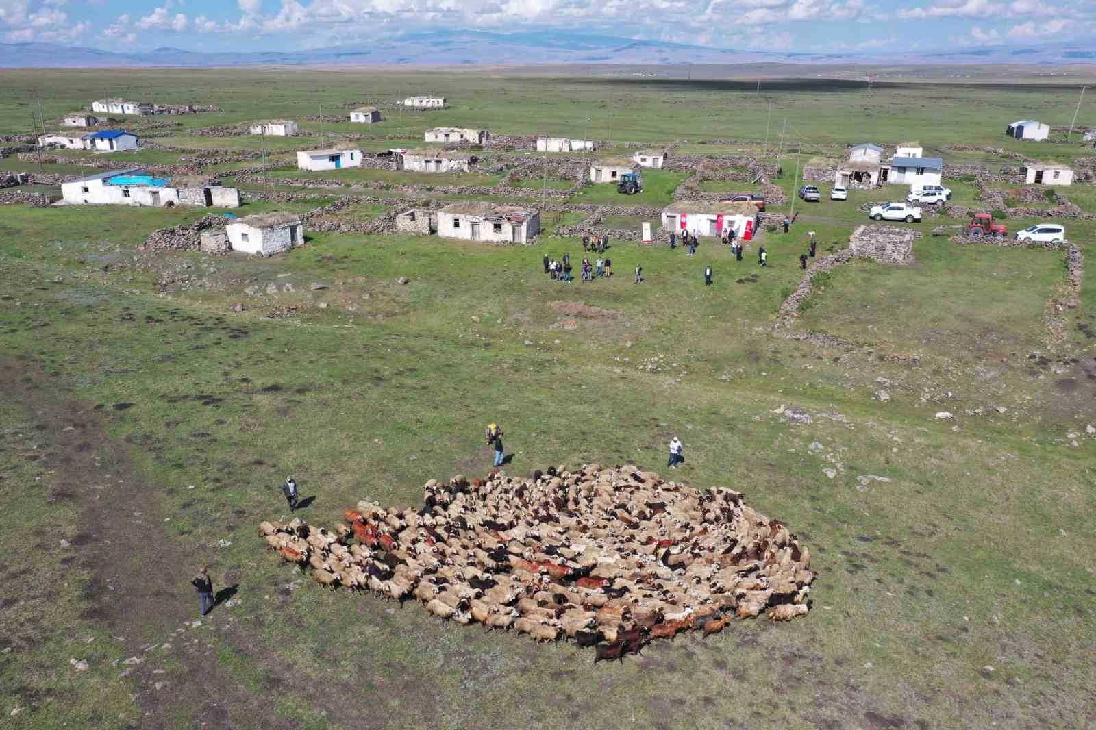 Kars’ta koç katımı yapıldı
