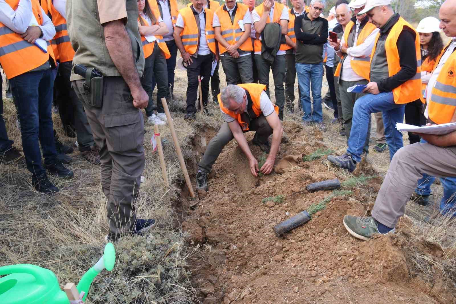 Elazığ’da Silvikültürel Esas ve İlkeler konulu eğitim
