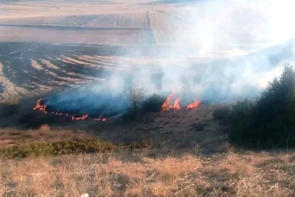 Kütahya’da anız yangını
