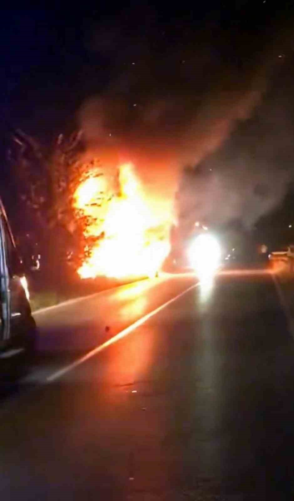 Kontrolden çıkarak yol kenarına uçan araç alev topuna döndü: 2 yaralı
