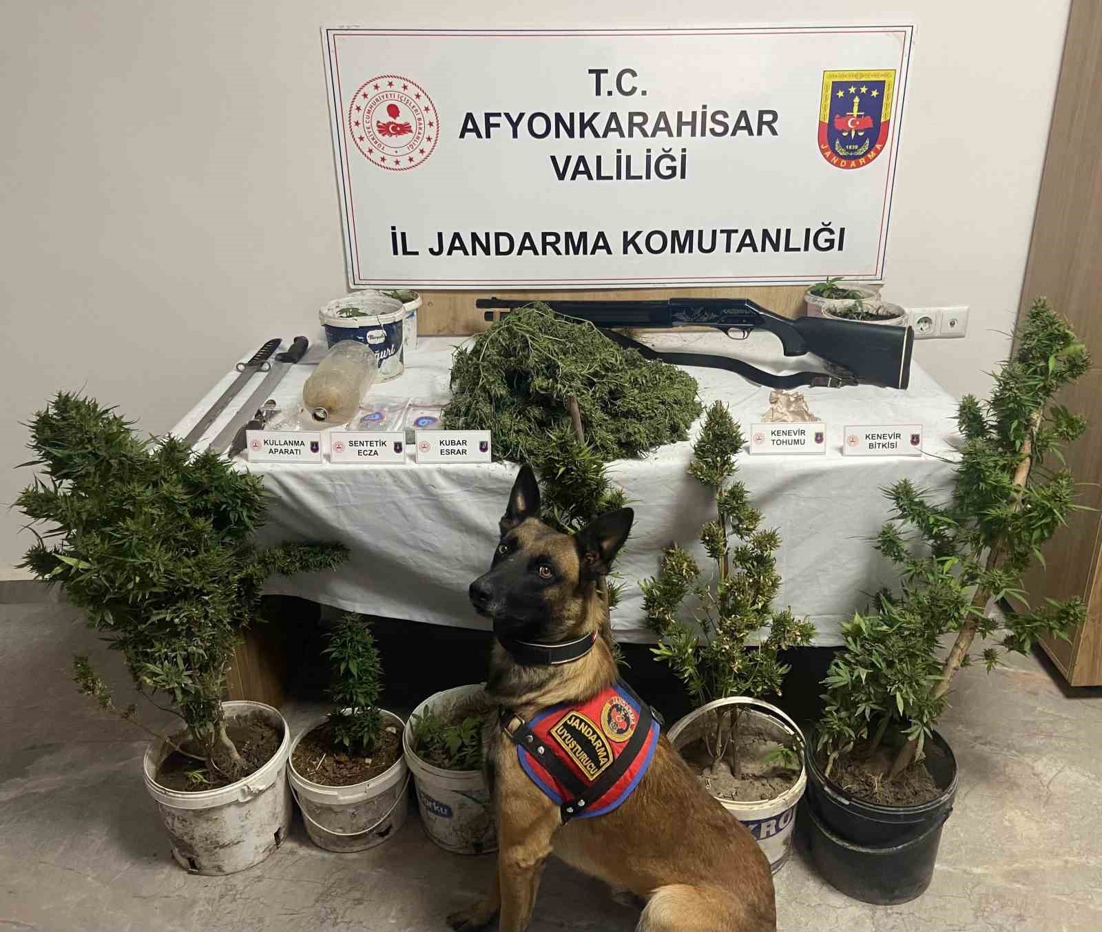 Jandarmadan uyuşturucu operasyonu:6 gözaltı
