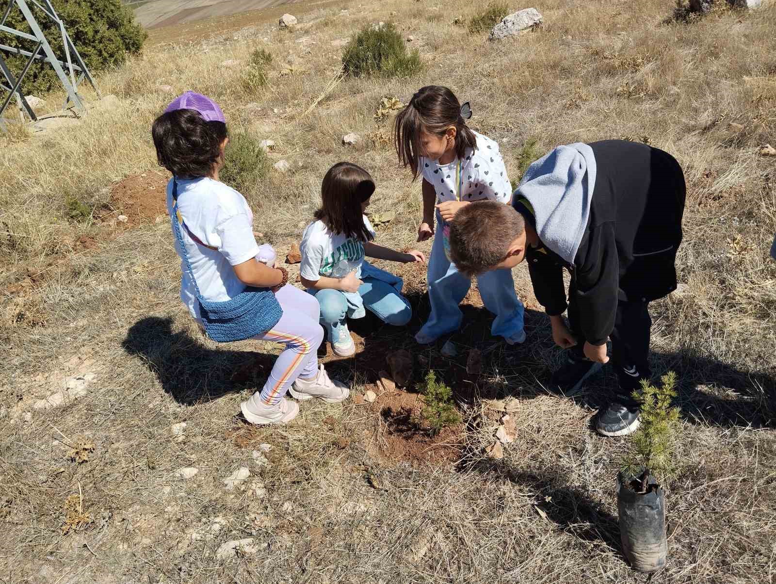 Zile’de şehit polis Yılmaz ve küçük Narin için fidanlar toprakla buluştu
