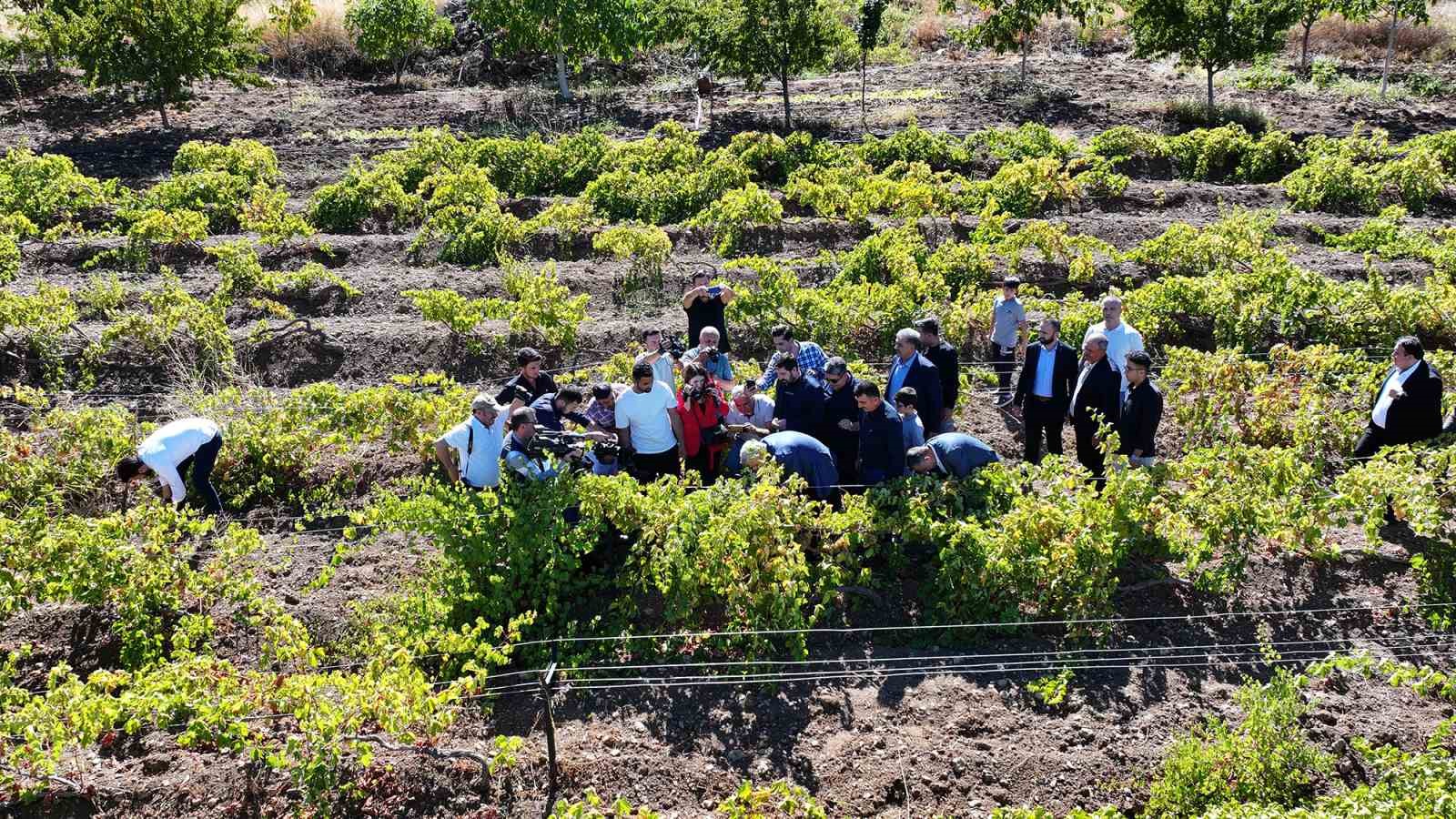 Kahramanmaraş’ta geleneksel Bağbozumu Günleri
