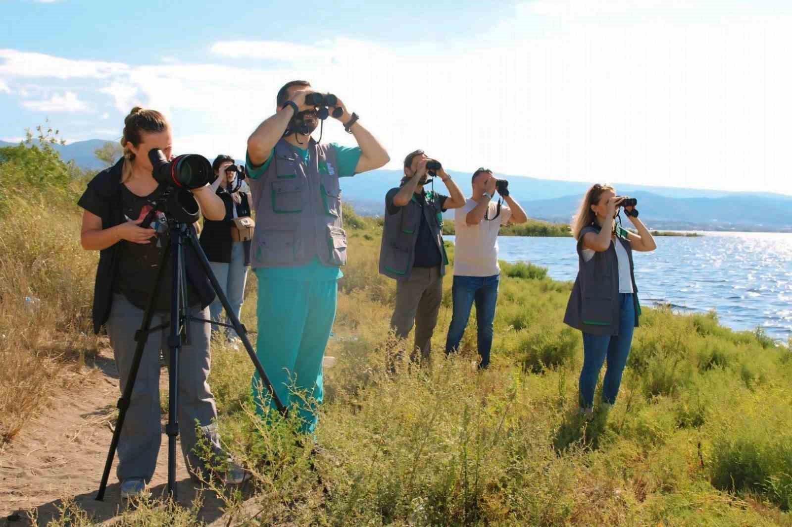 İzmit Körfezi’ndeki flamingo sayısında artış gözlendi
