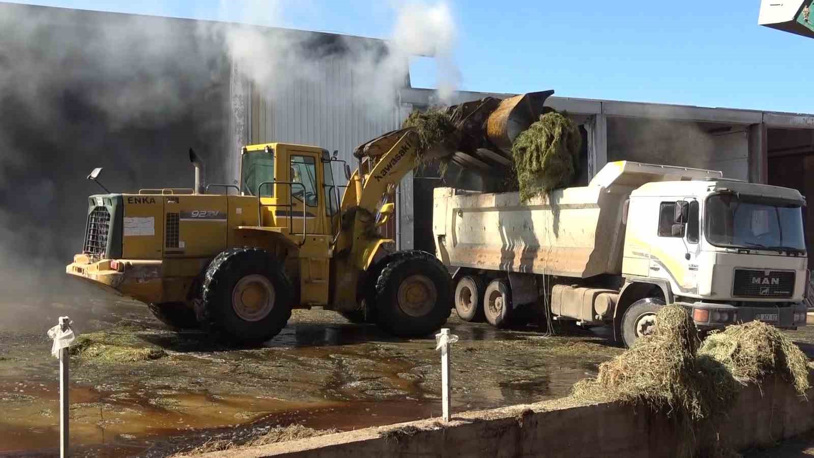 Amasya’da çiftlikte korkutan yangın: Yağmurlama sistemiyle yangının büyümesini önlediler
