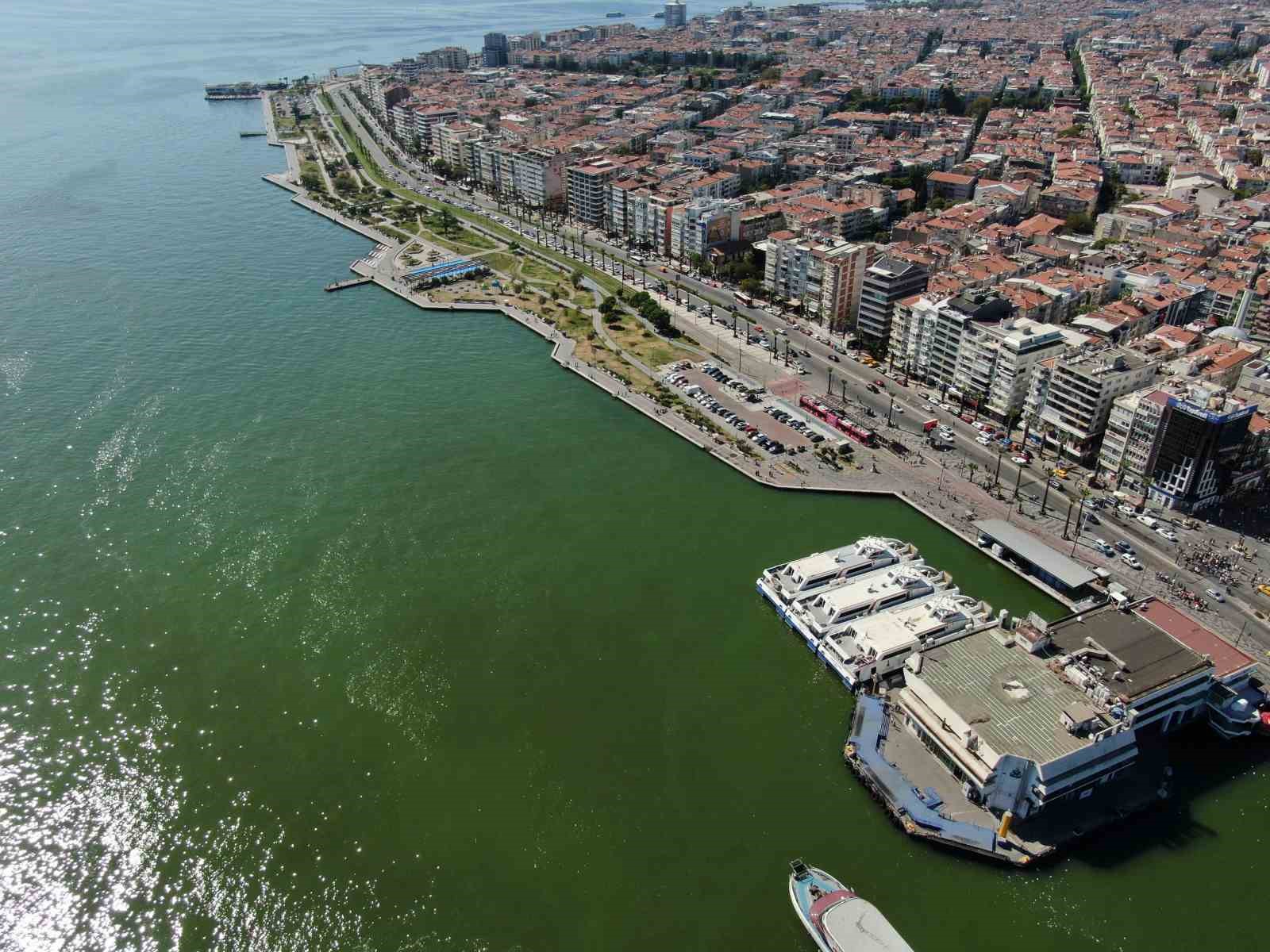 İzmir Körfezi’nde bilindik manzara: Yine binlerce ölü balık görüldü
